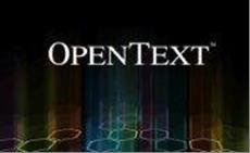 MD Consulting-Gupta-Opentext