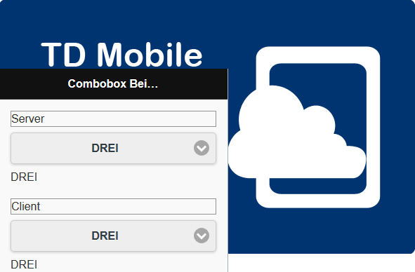 combobox-td-mobile-server-client-cloud-device-md-consulting