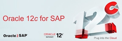 oracle-12c-sap-database-md-consulting-gmbh-erding-umkreis-umland