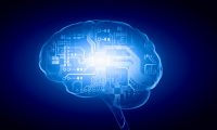 md-consulting-td-update-brain-digital-platine-festplatte-human-intelligence-brain