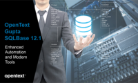 MD-Consulting-Seminar-Opentext-Gupta-SQL-Base-tools-version-update-database
